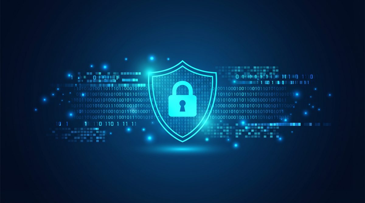 大蒜加速器隐私安全保护